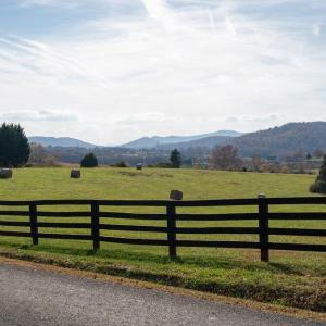 Photo #2 of TBD RED HILL RD, CHARLOTTESVILLE, VA 21.0 acres
