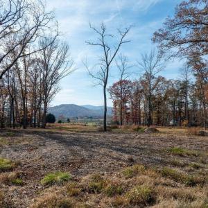 Photo #21 of TBD RED HILL RD, CHARLOTTESVILLE, VA 21.0 acres