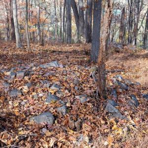 Photo #33 of TBD RED HILL RD, CHARLOTTESVILLE, VA 21.0 acres