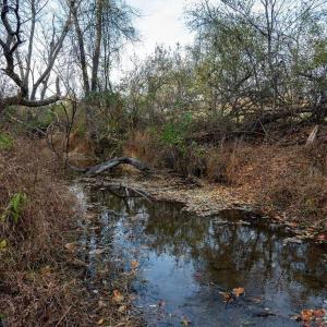 Photo #27 of TBD RED HILL RD, CHARLOTTESVILLE, VA 21.0 acres