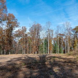 Photo #16 of TBD RED HILL RD, CHARLOTTESVILLE, VA 21.0 acres