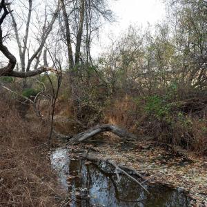 Photo #35 of TBD RED HILL RD, CHARLOTTESVILLE, VA 21.0 acres