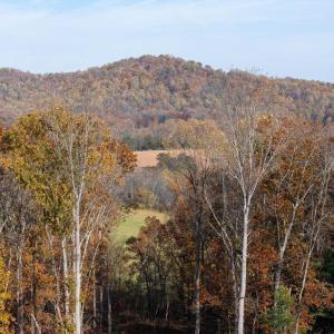 Photo #18 of TBD RED HILL RD, CHARLOTTESVILLE, VA 21.0 acres
