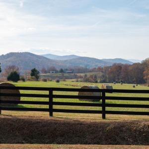 Photo #49 of TBD RED HILL RD, CHARLOTTESVILLE, VA 21.0 acres