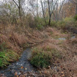 Photo #5 of TBD RED HILL RD, CHARLOTTESVILLE, VA 21.0 acres