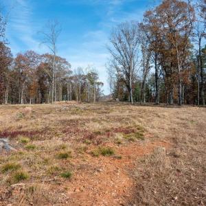 Photo #6 of TBD RED HILL RD, CHARLOTTESVILLE, VA 21.0 acres