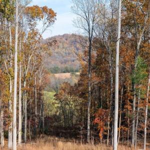 Photo #19 of TBD RED HILL RD, CHARLOTTESVILLE, VA 21.0 acres