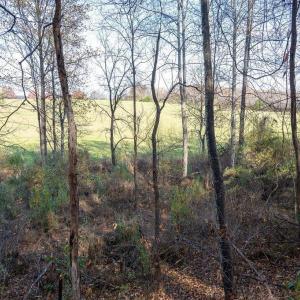 Photo #39 of TBD RED HILL RD, CHARLOTTESVILLE, VA 21.0 acres