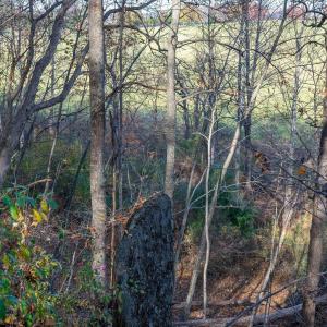 Photo #44 of TBD RED HILL RD, CHARLOTTESVILLE, VA 21.0 acres