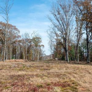 Photo #14 of TBD RED HILL RD, CHARLOTTESVILLE, VA 21.0 acres