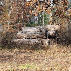 Photo #41 of TBD RED HILL RD, CHARLOTTESVILLE, VA 21.0 acres