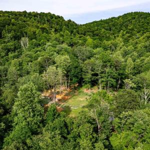 Photo #19 of 1390 PERKINS HOLLOW LN, FABER, VA 93.8 acres