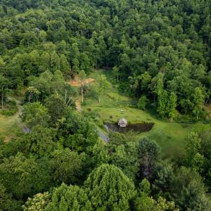 Photo #20 of 1390 PERKINS HOLLOW LN, FABER, VA 93.8 acres