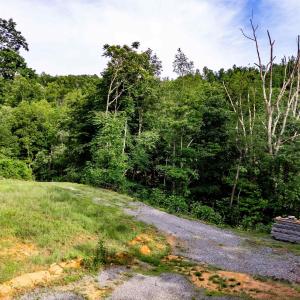 Photo #13 of 1390 PERKINS HOLLOW LN, FABER, VA 93.8 acres
