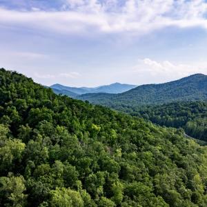 Photo #22 of 1390 PERKINS HOLLOW LN, FABER, VA 93.8 acres