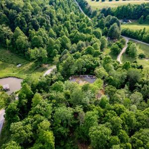 Photo #1 of 1390 PERKINS HOLLOW LN, FABER, VA 93.8 acres