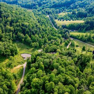 Photo #21 of 1390 PERKINS HOLLOW LN, FABER, VA 93.8 acres