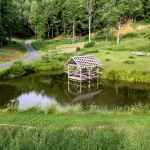 Photo #4 of 1390 PERKINS HOLLOW LN, FABER, VA 93.8 acres