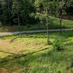 Photo #10 of 1390 PERKINS HOLLOW LN, FABER, VA 93.8 acres