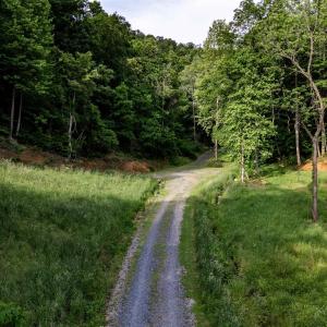 Photo #8 of 1390 PERKINS HOLLOW LN, FABER, VA 93.8 acres