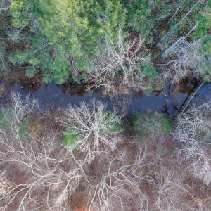 Photo #5 of MANTEO RD, BUCKINGHAM, VA 53.5 acres