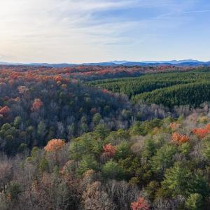 Photo #14 of MANTEO RD, BUCKINGHAM, VA 53.5 acres