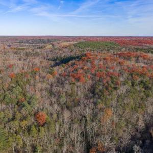 Photo #15 of MANTEO RD, BUCKINGHAM, VA 53.5 acres