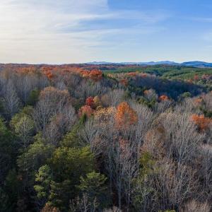 Photo #10 of MANTEO RD, BUCKINGHAM, VA 53.5 acres