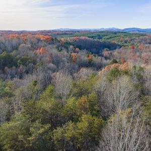 Photo #9 of MANTEO RD, BUCKINGHAM, VA 53.5 acres