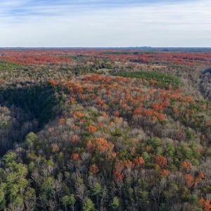 Photo #17 of MANTEO RD, BUCKINGHAM, VA 53.5 acres