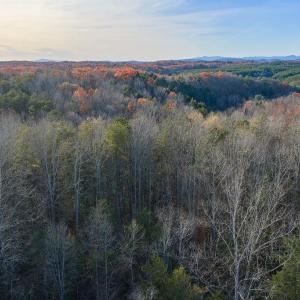 Photo #8 of MANTEO RD, BUCKINGHAM, VA 53.5 acres