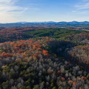 Photo #6 of MANTEO RD, BUCKINGHAM, VA 53.5 acres