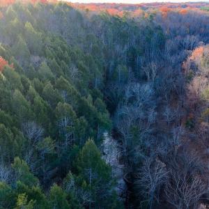 Photo #4 of MANTEO RD, BUCKINGHAM, VA 53.5 acres