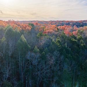 Photo #12 of MANTEO RD, BUCKINGHAM, VA 53.5 acres