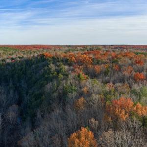 Photo #18 of MANTEO RD, BUCKINGHAM, VA 53.5 acres