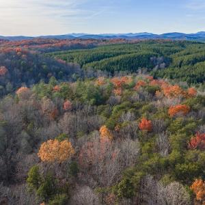 Photo #13 of MANTEO RD, BUCKINGHAM, VA 53.5 acres