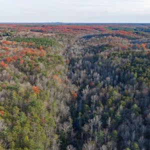 Photo #16 of MANTEO RD, BUCKINGHAM, VA 53.5 acres