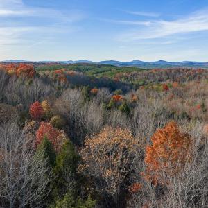 Photo #3 of MANTEO RD, BUCKINGHAM, VA 53.5 acres