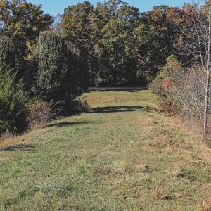 Photo #15 of Lot 21 ROLLING RD S, SCOTTSVILLE, VA 15.0 acres