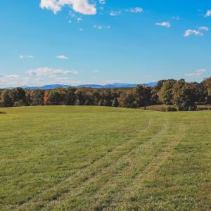 Photo #11 of Lot 21 ROLLING RD S, SCOTTSVILLE, VA 15.0 acres