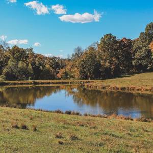 Photo #13 of Lot 21 ROLLING RD S, SCOTTSVILLE, VA 15.0 acres