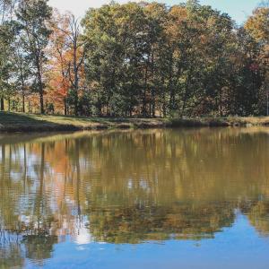 Photo #14 of Lot 21 ROLLING RD S, SCOTTSVILLE, VA 15.0 acres