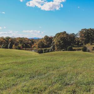 Photo #19 of Lot 21 ROLLING RD S, SCOTTSVILLE, VA 15.0 acres