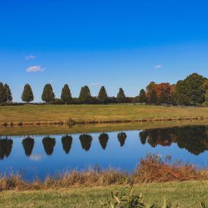 Photo #17 of Lot 21 ROLLING RD S, SCOTTSVILLE, VA 15.0 acres