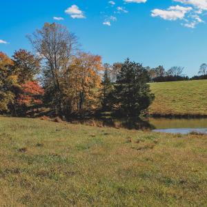 Photo #16 of Lot 21 ROLLING RD S, SCOTTSVILLE, VA 15.0 acres