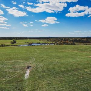 Photo #9 of Lot 21 ROLLING RD S, SCOTTSVILLE, VA 15.0 acres