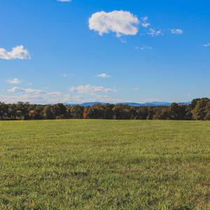 Photo #22 of Lot 21 ROLLING RD S, SCOTTSVILLE, VA 15.0 acres