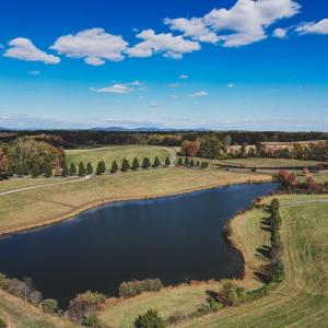 Photo #3 of Lot 21 ROLLING RD S, SCOTTSVILLE, VA 15.0 acres