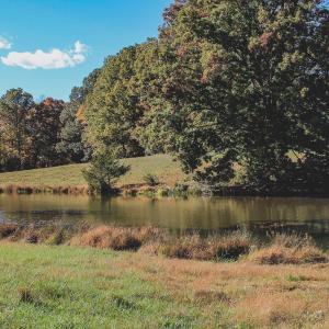 Photo #12 of Lot 21 ROLLING RD S, SCOTTSVILLE, VA 15.0 acres