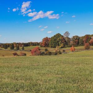 Photo #21 of Lot 21 ROLLING RD S, SCOTTSVILLE, VA 15.0 acres